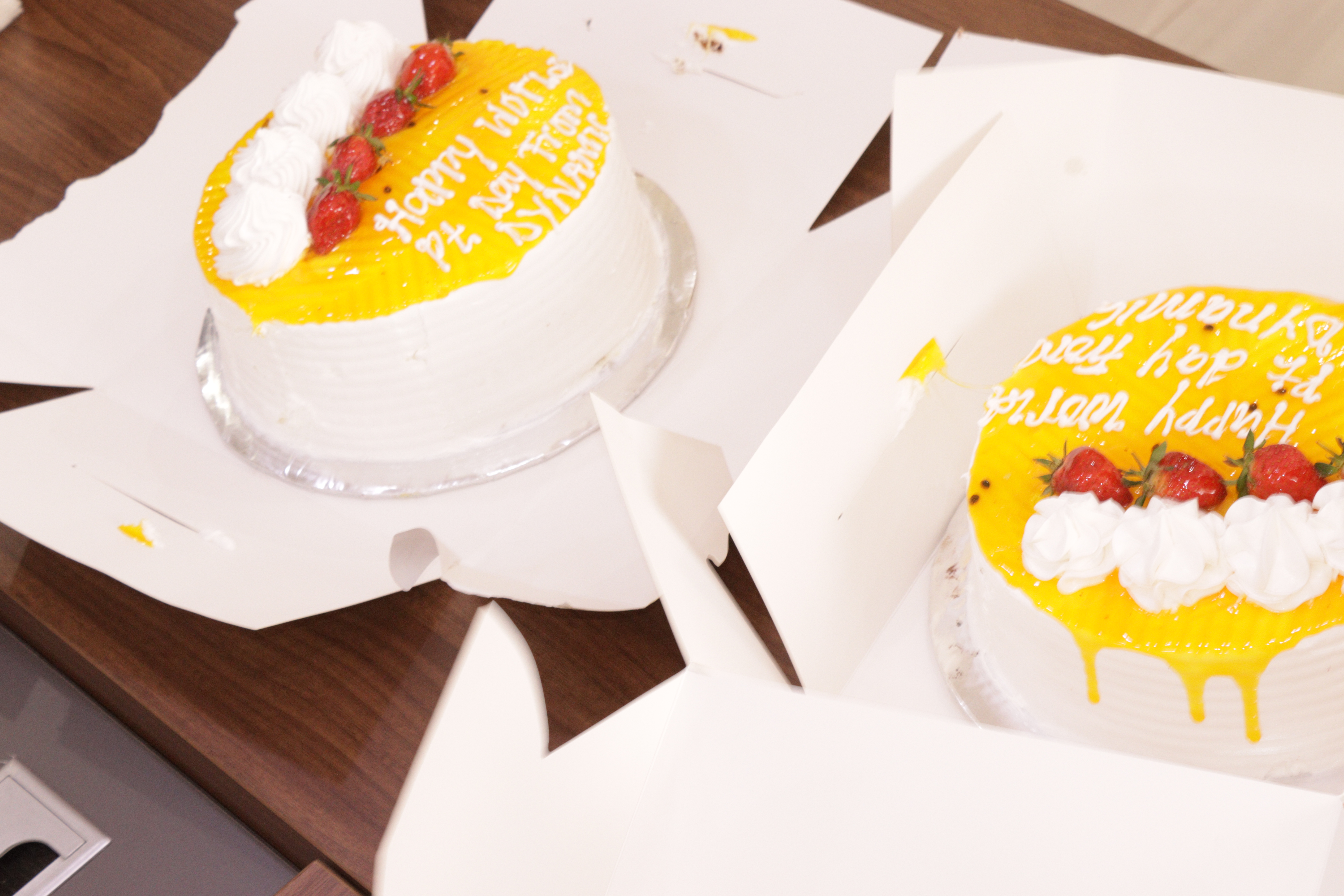 world physiotherapy day celebration